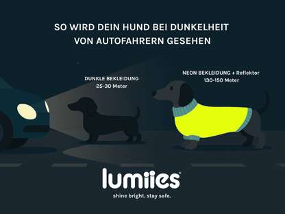 LUMIIES – Glow Raincoat Mini-Fit Hunderegenmantel Neongelb