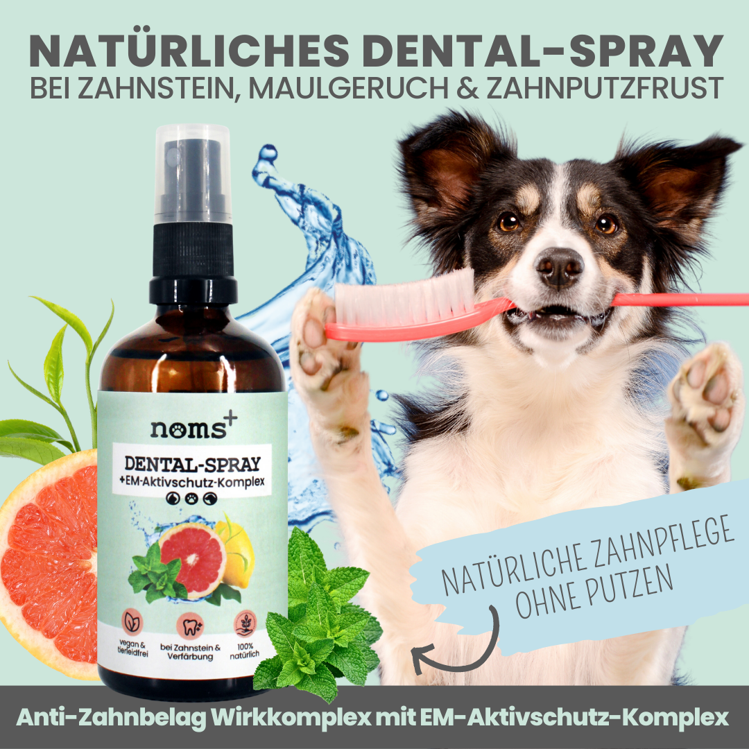 NOMS+ - Dental Spray for Dogs & Cats – Natural Dental Care Against Tartar & Bad Breath