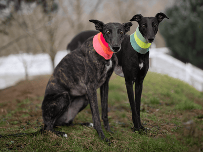 LUMIIES – Glow Loop 2.0 Hundeschal Neon Matcha