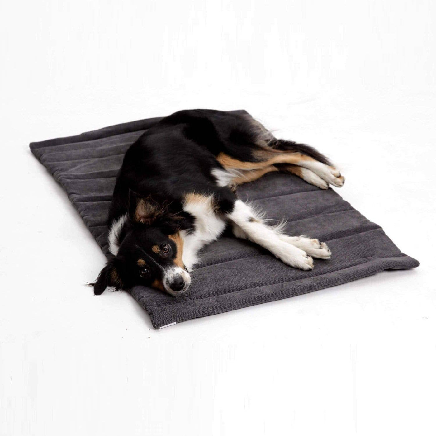 DOGS IN THE CITY® - Travel mat / travel bed Madison – anthracite grey