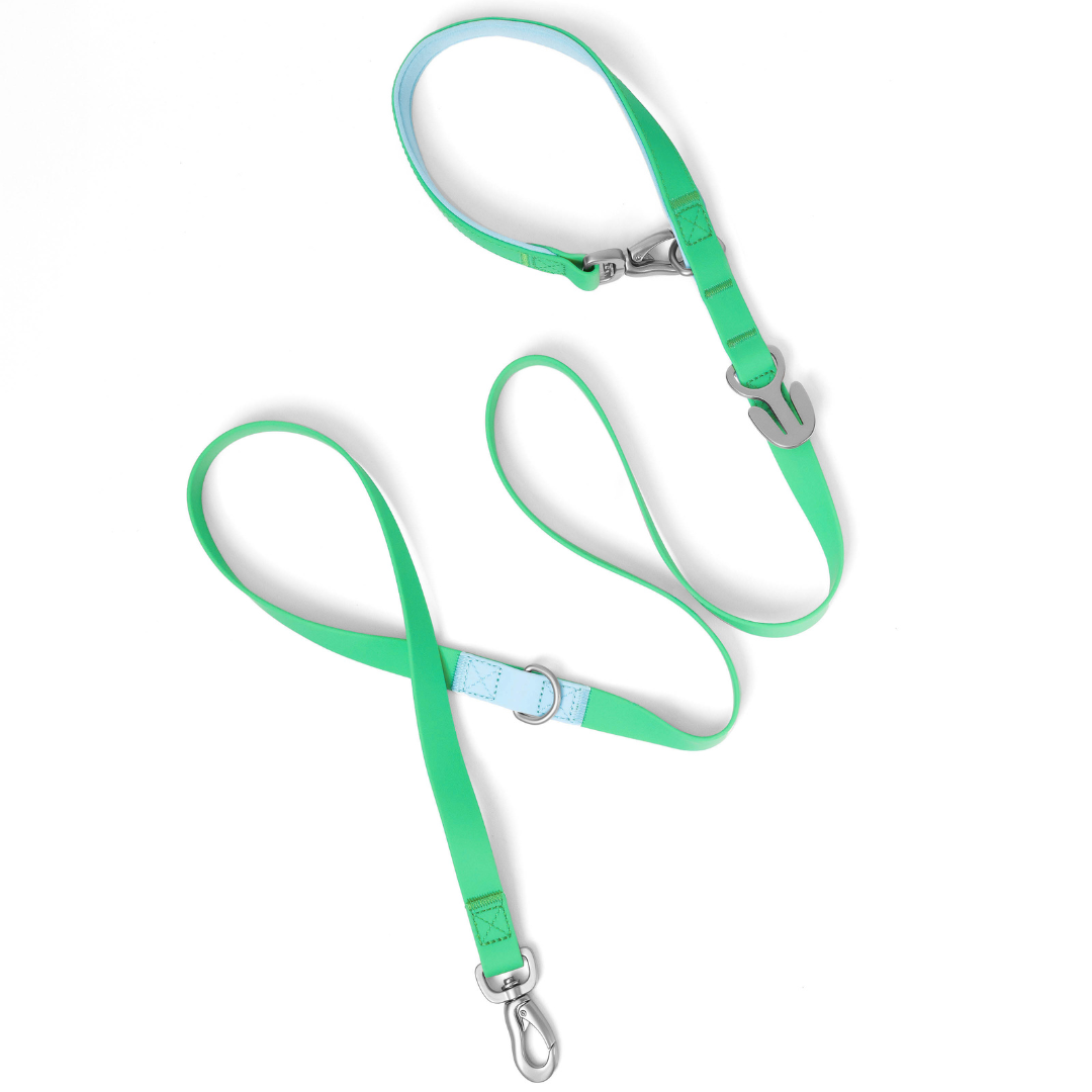 Springland Pets - Premium wasserdichte 1,5 m Hundeleine mit gepolstertem Griff (4er-Pack) - OSSO BLU