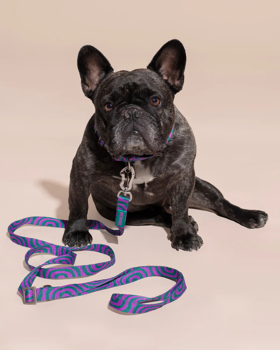 HOT DOGGIES - Freihandleine „Lola Groove“
