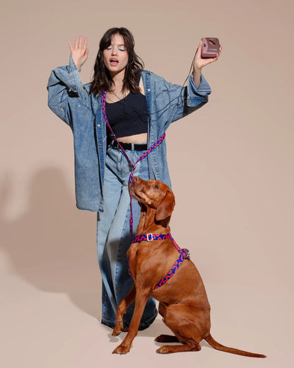 HOT DOGGIES - Freihandleine „Rocky Electric“