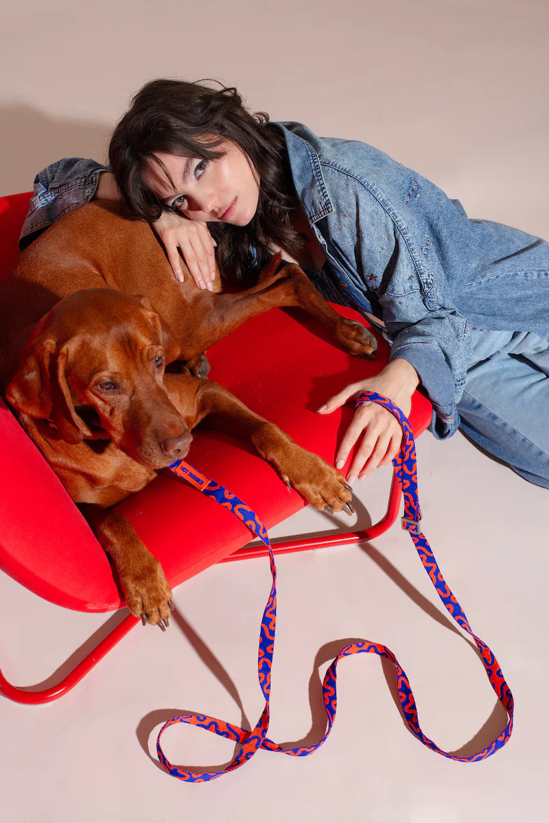 HOT DOGGIES - Freihandleine „Rocky Electric“