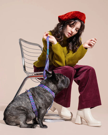 HOT DOGGIES - Geschirr „Lola Groove“