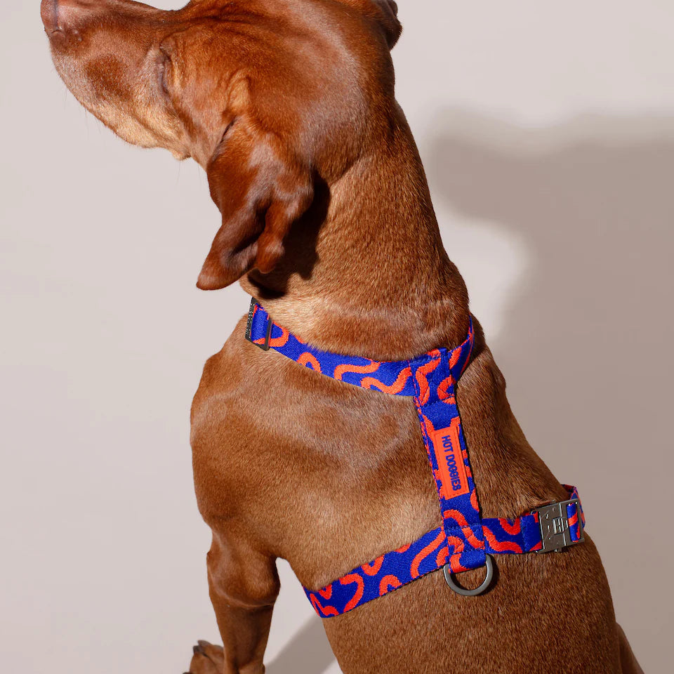 HOT DOGGIES - Geschirr „Rocky Electric“