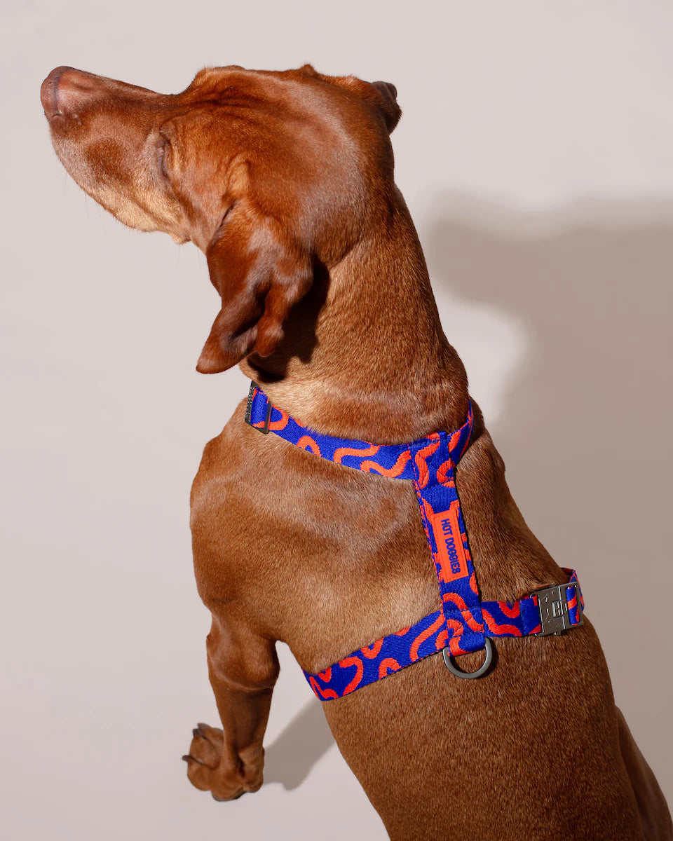 HOT DOGGIES - Geschirr „Rocky Electric“
