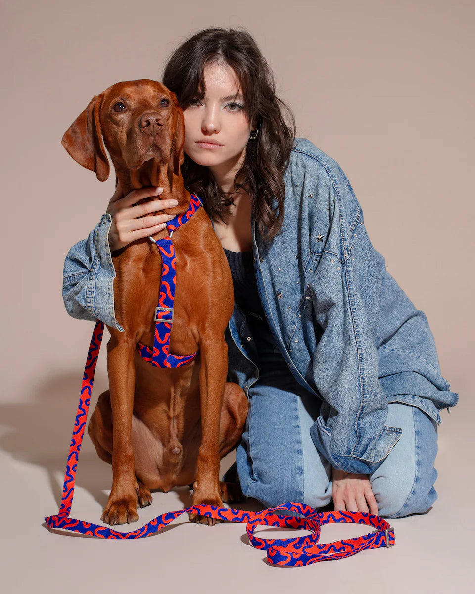 HOT DOGGIES - Geschirr „Rocky Electric“