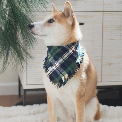 SUNNY TAILS – Frayed Dog Bandana – Evergreen Plaid