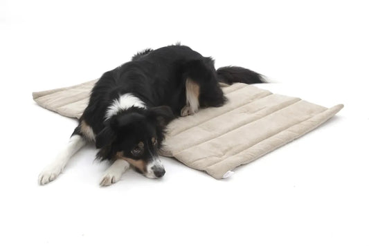DOGS IN THE CITY® - Reisematte / Reisebett Madison – Gravel - OSSO BLU