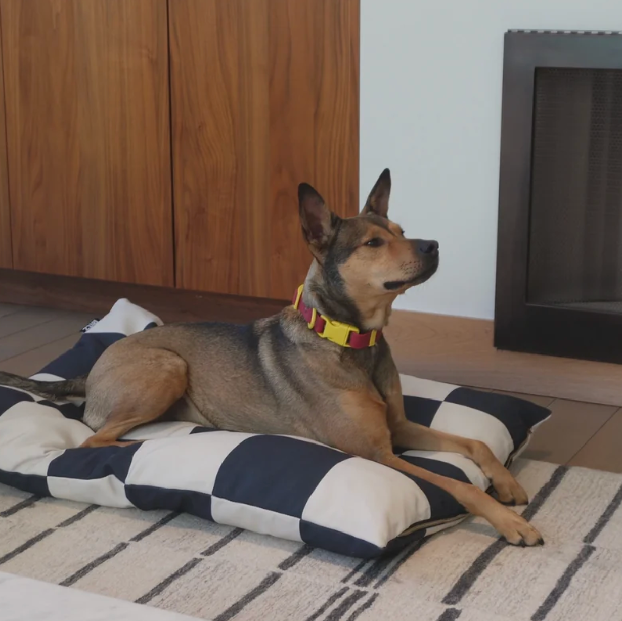 APPROVED BY FRITZ – Dog bed in Black-and-White Check