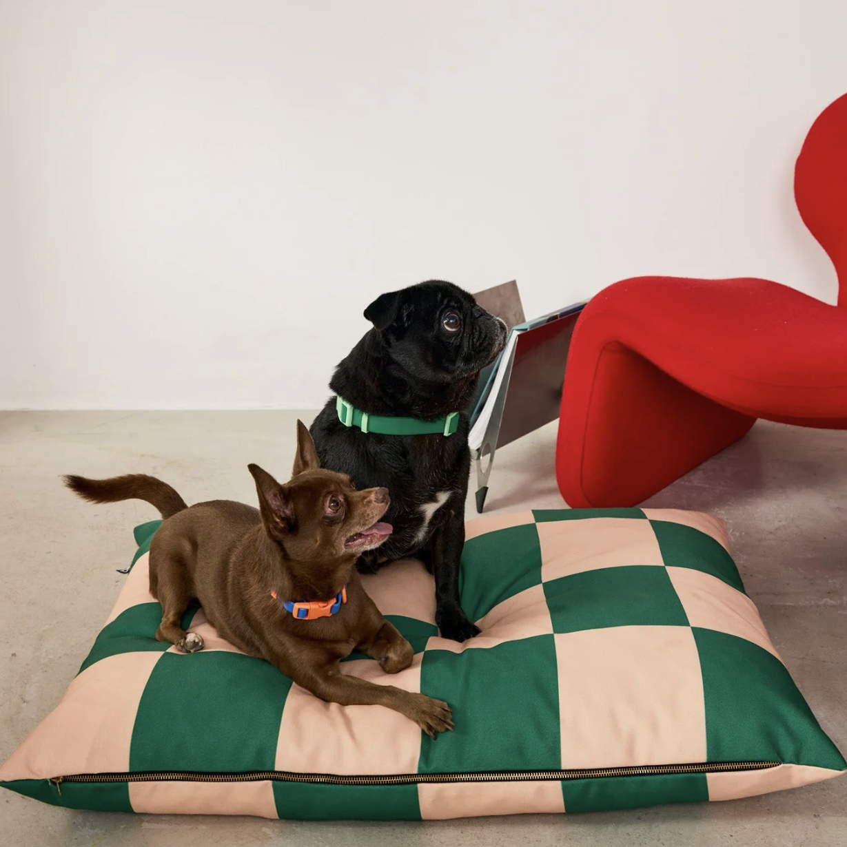 APPROVED BY FRITZ – Dog bed in green plaid