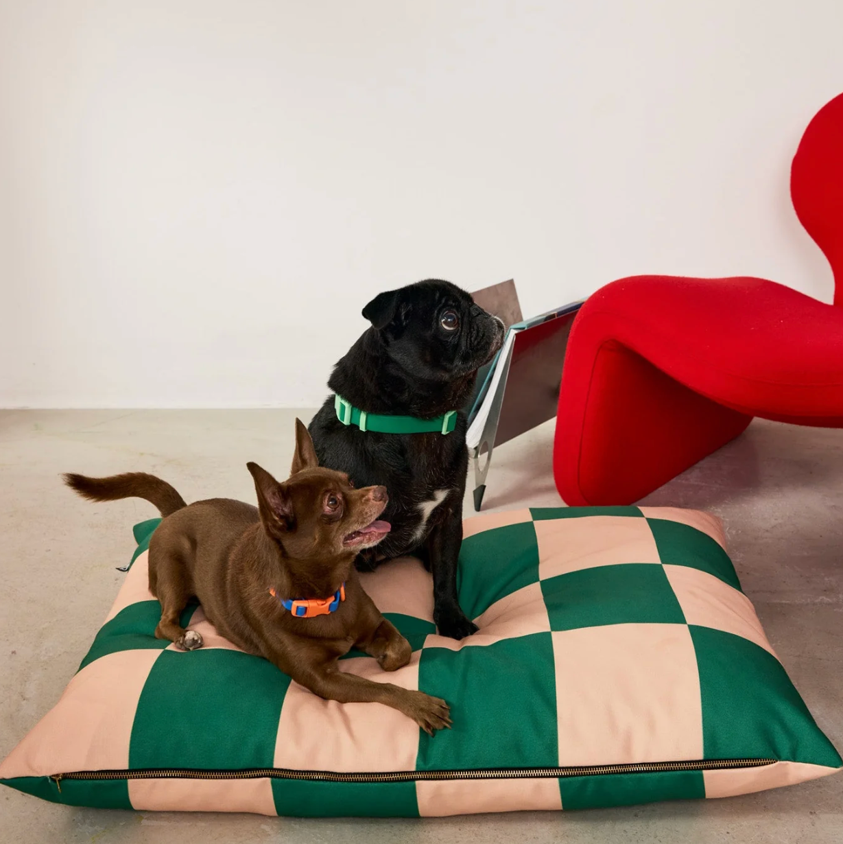 APPROVED BY FRITZ – Dog bed in green plaid