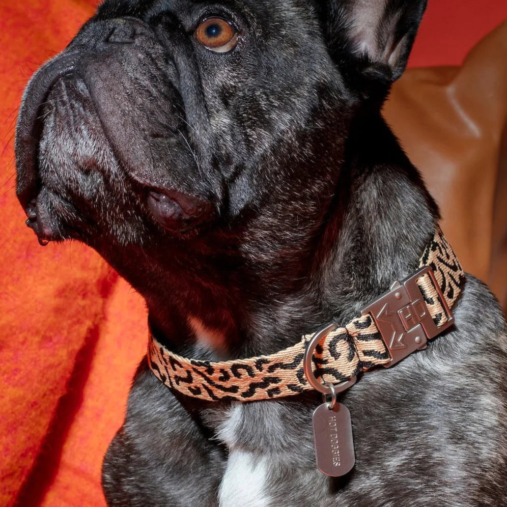 HOT DOGGIES - Halsband „Coco Noir“