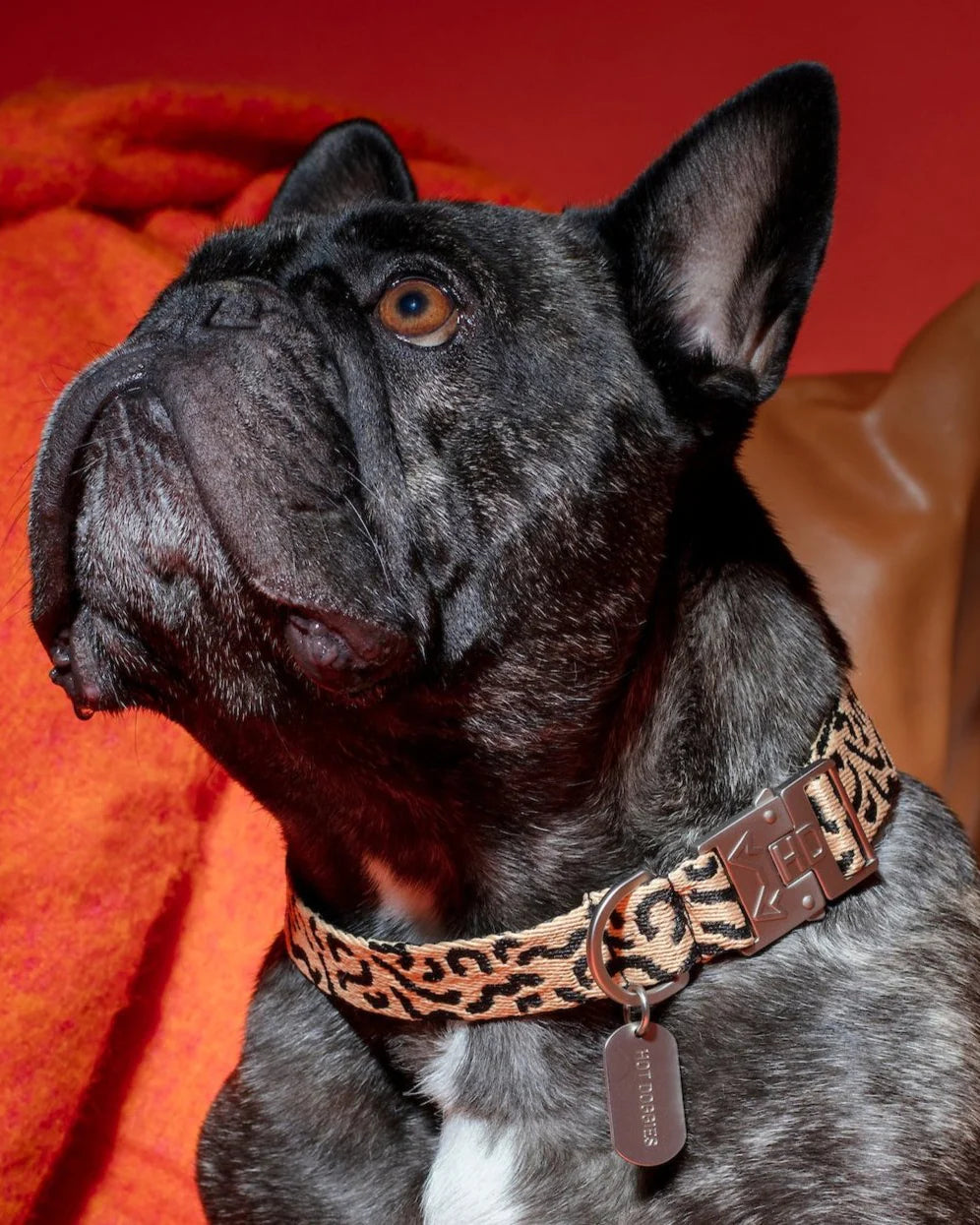 HOT DOGGIES - Halsband „Coco Noir“