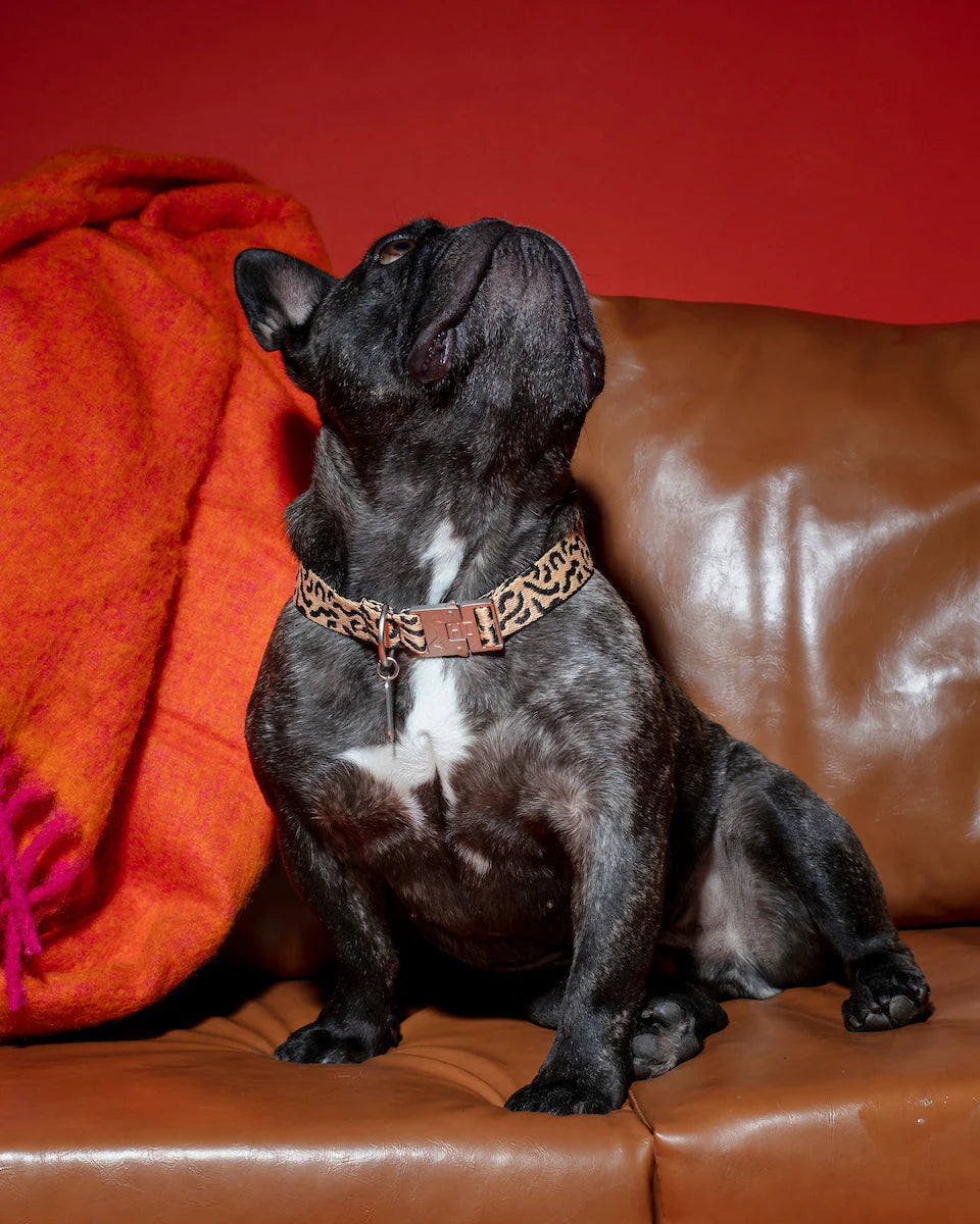 HOT DOGGIES - Halsband „Coco Noir“