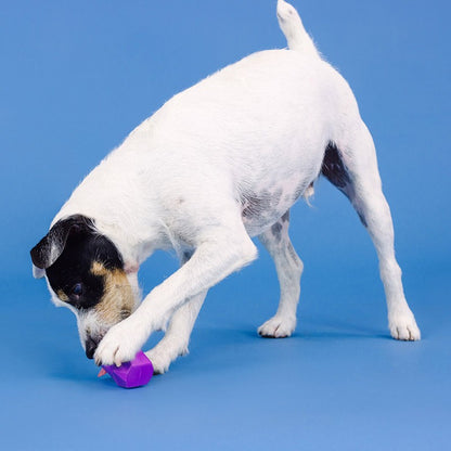 PETSHOP - Gummi-Hundespielzeug "You're Adora-Ball Purple" - OSSO BLU